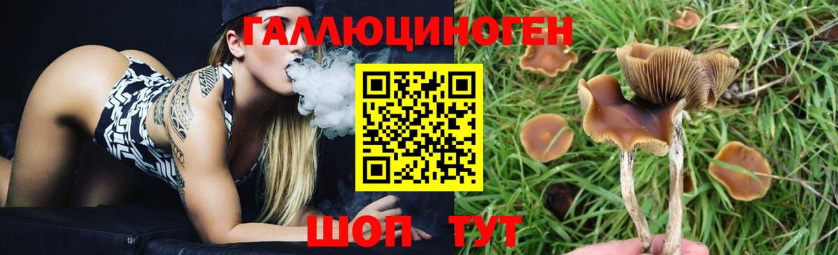 Псилоцибиновые грибы Magic Shrooms Псков